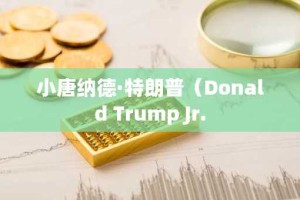 小唐纳德·特朗普（Donald Trump Jr.