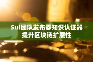 Sui团队发布零知识认证器提升区块链扩展性