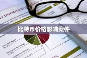 比特币价格影响案件