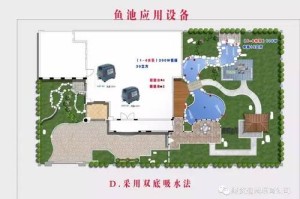 如何查看鱼池钱包