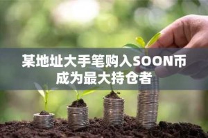 某地址大手笔购入SOON币成为最大持仓者