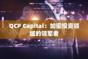 QCP Capital：加密投资领域的领军者