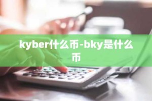kyber什么币-bky是什么币
