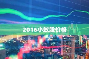 2016小蚁股价格