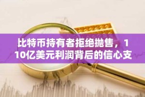 比特币持有者拒绝抛售，110亿美元利润背后的信心支撑未来走势