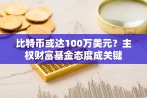 比特币或达100万美元？主权财富基金态度成关键