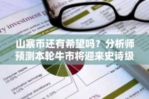山寨币还有希望吗？分析师预测本轮牛市将迎来史诗级结局