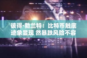 彼得·勃兰特：比特币触底迹象显现 然暴跌风险不容忽视