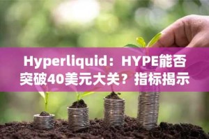 Hyperliquid：HYPE能否突破40美元大关？指标揭示潜在走势