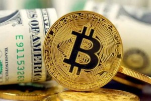 狗王币涨了多少倍(狗王币涨幅惊人)