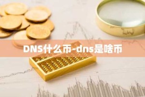 DNS什么币-dns是啥币