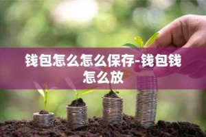 钱包怎么怎么保存-钱包钱怎么放