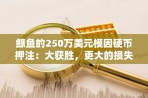 鲸鱼的250万美元模因硬币押注：大获胜，更大的损失。 CZ狗硬币重点