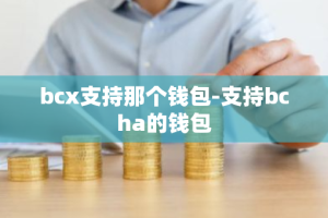bcx支持那个钱包-支持bcha的钱包