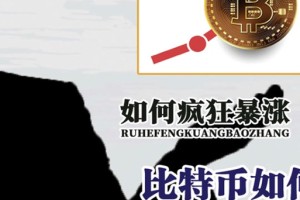 疯狂小强比特币