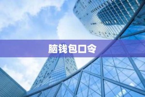 脑钱包口令