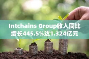 Intchains Group收入同比增长445.5%达1.324亿元