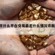 以态币什么平台交易最近什么情况币圈 交易简介