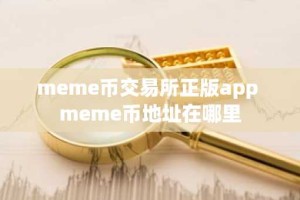 meme币交易所正版app meme币地址在哪里