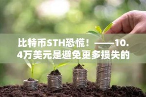 比特币STH恐慌！——10.4万美元是避免更多损失的关键吗？