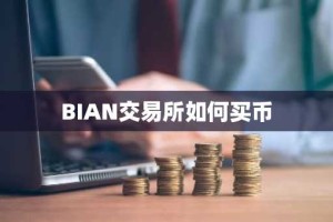 BIAN交易所如何买币