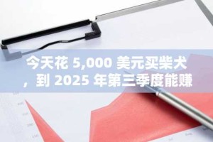 今天花 5,000 美元买柴犬，到 2025 年第三季度能赚到钱吗？计算如下