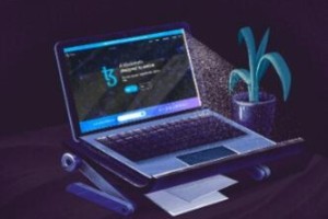 usdt是什么交易所_usdt属于