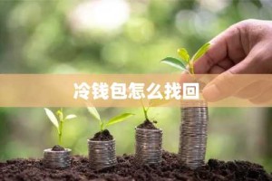 冷钱包怎么找回