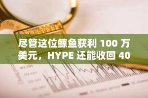 尽管这位鲸鱼获利 100 万美元，HYPE 还能收回 40 美元吗？
