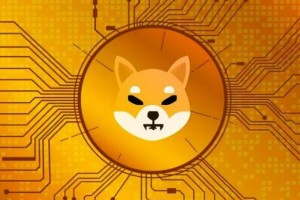 区块链世界大赛（一）：比特币发展历程