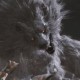 黑神话悟空武器获得方法 黑神话悟空武器怎么获得