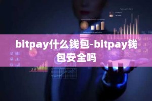bitpay什么钱包-bitpay钱包安全吗