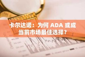 卡尔达诺：为何 ADA 或成当前市场最佳选择？