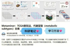 nicehashminer怎么玩