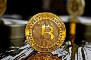 比特币价格波动图(比特币价值图：一览波动)