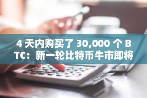 4 天内购买了 30,000 个 BTC：新一轮比特币牛市即将到来？