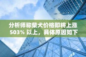 分析师称柴犬价格即将上涨 503% 以上，具体原因如下