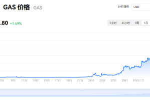 gas是什么？一个GAS币多少钱？