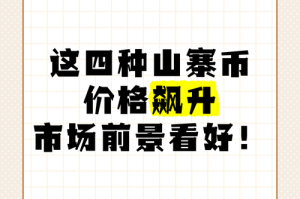 山寨币买多少合适