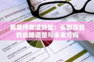 再质押赛道转型：头部项目的战略调整与未来方向