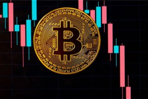 onecoin维卡币最新消息公告(维卡币公告更新)
