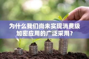 为什么我们尚未实现消费级加密应用的广泛采用？