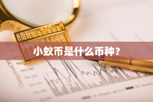 小蚁币是什么币种？