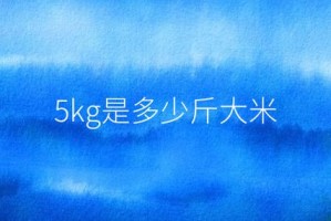 13300是多少斤