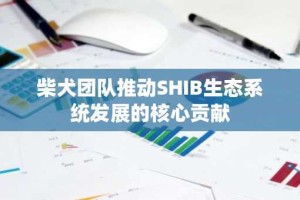 柴犬团队推动SHIB生态系统发展的核心贡献
