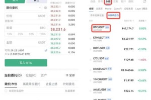 dash币涨了多少