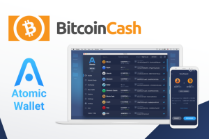 bitcoincash是什么