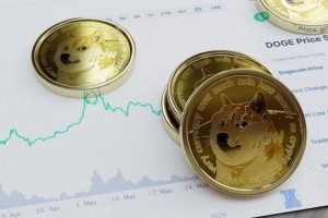 shib币过三五年会怎样