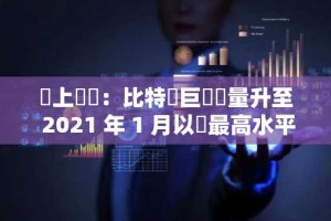 鏈上數據：比特幣巨鯨數量升至 2021 年 1 月以來最高水平