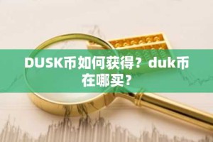 DUSK币如何获得？duk币在哪买？